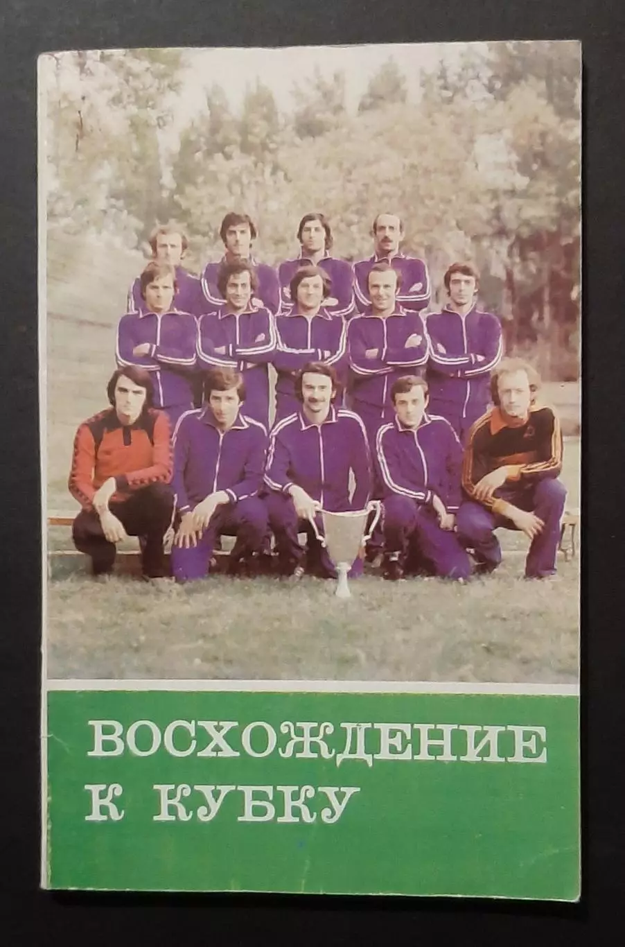 Восхождение к кубку Динамо Тбілісі 1981
