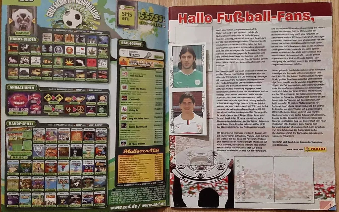 Альбом Panini Бундесліга 2008/09 (чистий) 1