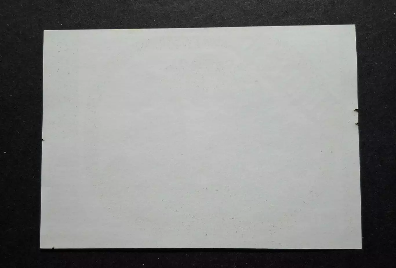 Пивна етикетка Святкове новорічна (Звягель,Новоград Волинський) 1