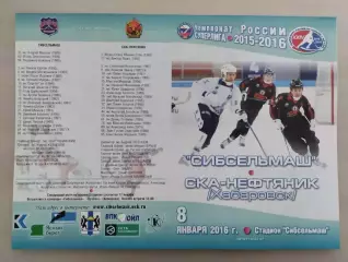 Суперлига. Сибсельмаш Новосибирск - СКА-Нефтяник Хабаровск. 08.01.2016