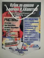 Вымпел. Кубок по хоккею с мячом Колотова Новосибирск 23.02.2021