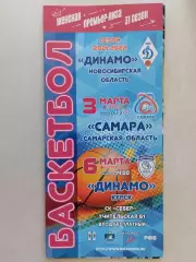 Премьер-Лига. Динамо Новосибирск - Самара. 03.03.2022. Динамо Курск. 06.03.2022