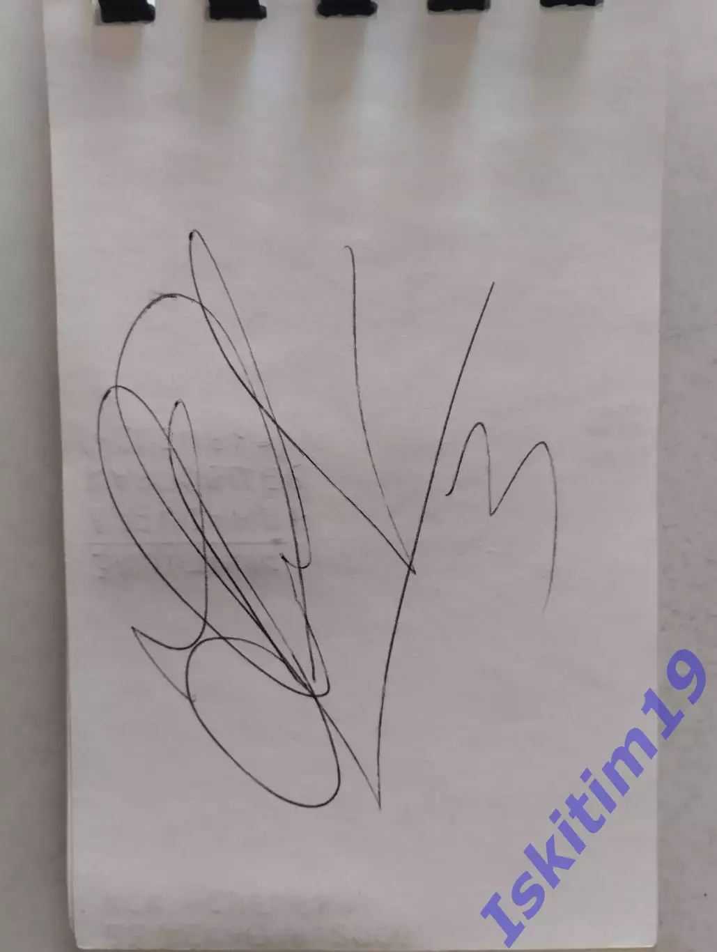 Автограф. Александр Карповцев. Хоккей