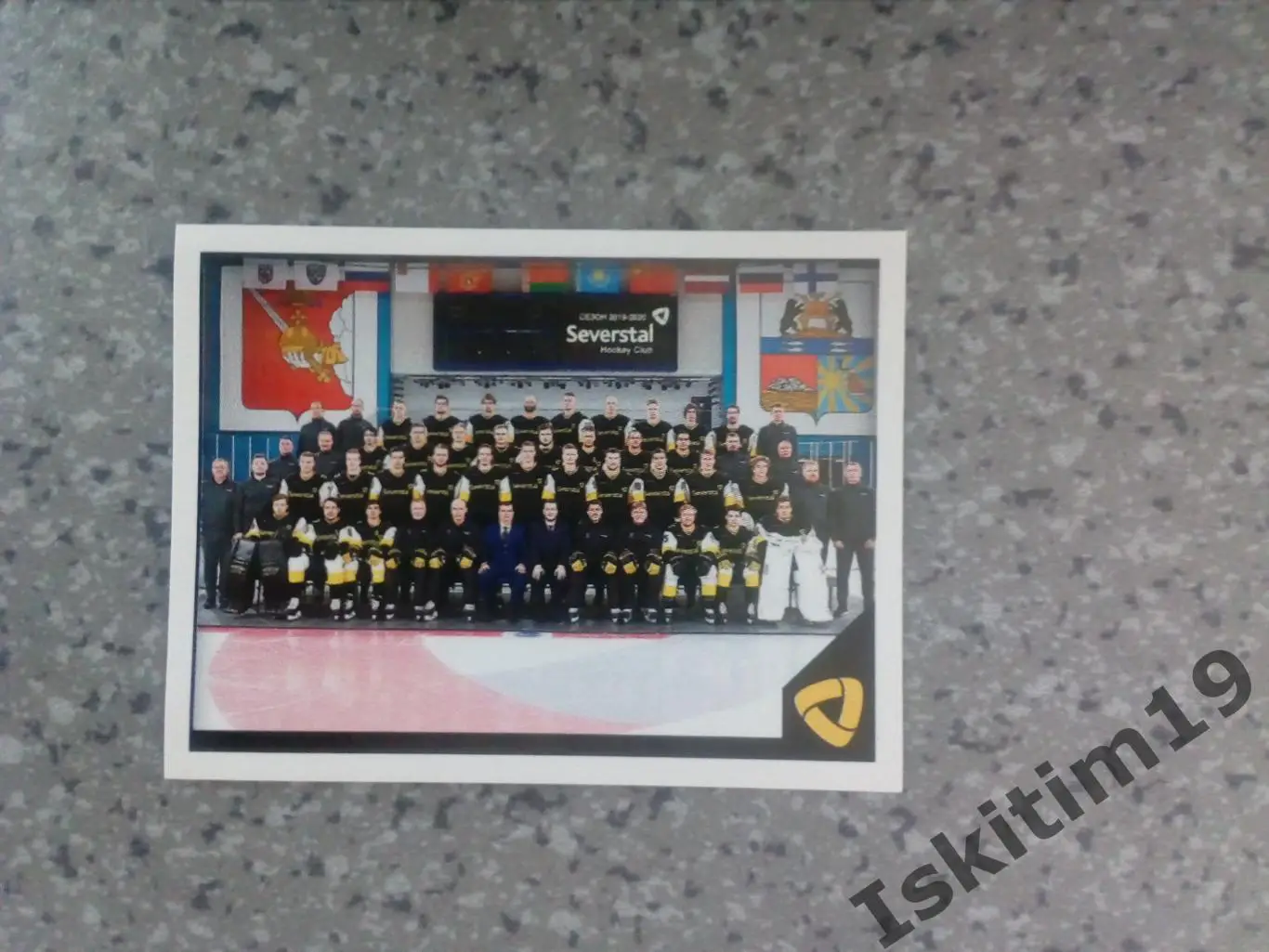 Наклейка PANINI КХЛ 2019-2020 № 467 ХК Северсталь (Череповец)