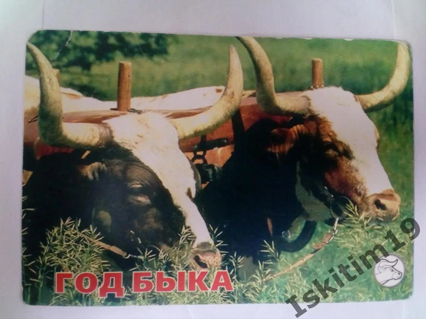 Календарик 1997. Год быка