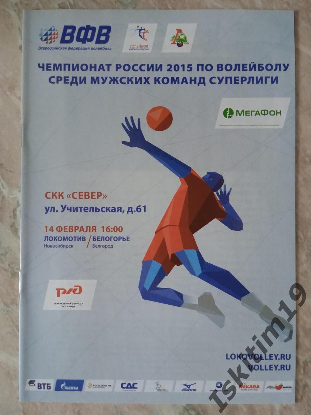 Суперлига. Локомотив Новосибирск - Белогорье Белгород. 14.02.2015