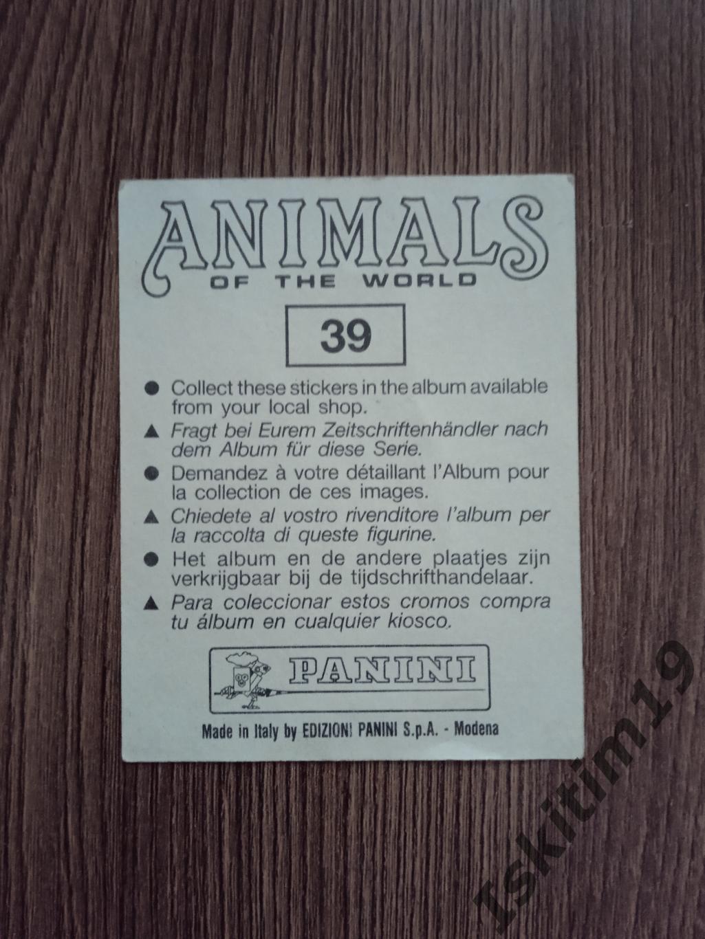 Наклейка № 39 Animals of the world 1