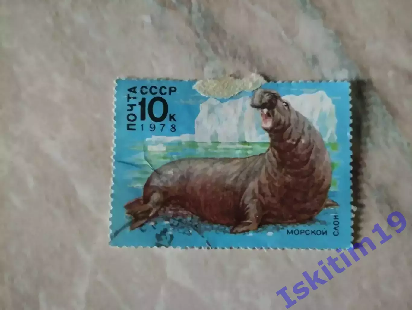 Марка. Морской слон