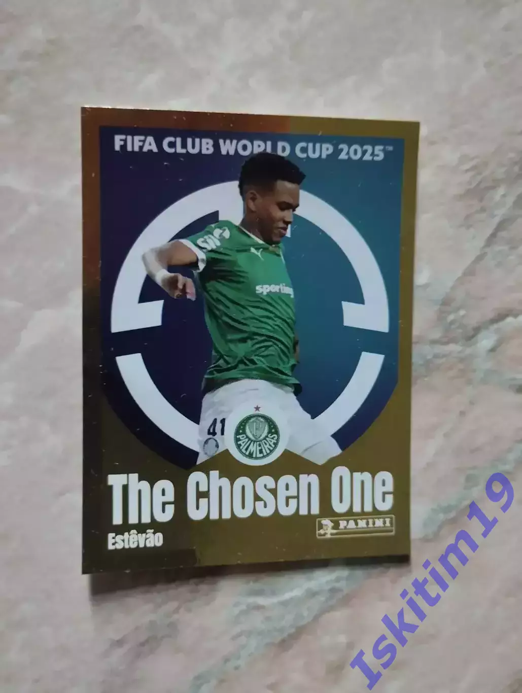 Наклейка Panini FIFA Club World Cup 2025 № 19 Эстеван Палмейрас