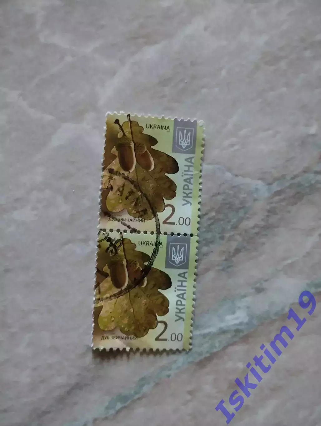 Марка. Украина. Дуб обыкновенный