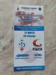 Премьер-Лига. 1/4 финала. Динамо Новосибирск - УГМК Екатеринбург. 22.03.2017