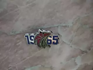 Значок знак женский баскетбольный клуб Нефтяник-Титан Омская область