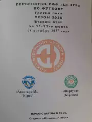 Авангард-М Курск - Фортуна Боровск, 3 лига, СФФ Центр, 08.10.2025 г.