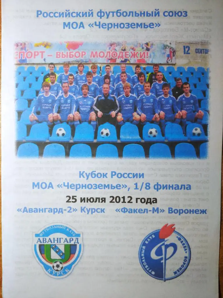 Авангард-2 Курск -Факел-М Воронеж. 25.07.2012г. ЛФЛ, 1/8 Кубка Черноземье.