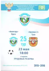 Авангард Курск - Арсенал-2 Тула 23.05.2016