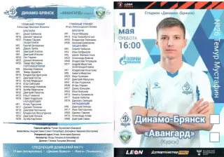 Динамо-Брянск (Брянск) - Авангард (Курск) 11.05.2024