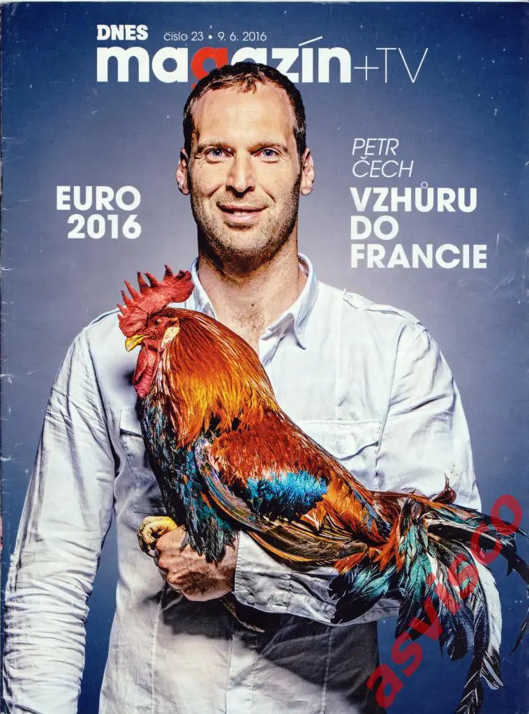 EURO-2016. Представление сборной Чехии, Июнь 2016 года.