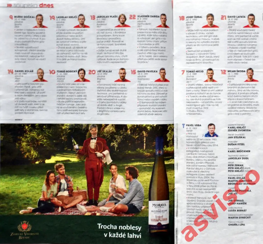 EURO-2016. Представление сборной Чехии, Июнь 2016 года. 5