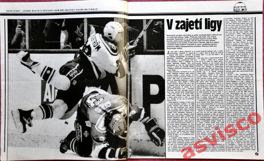 Чемпионат Мира по хоккею в Швеции. Итоги, Май 1989 года. 5