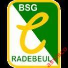 Значок СК BSG CHEMIE Radebeul / БСГ ХЕМИ из Радебойля / Саксония, Германия. 6