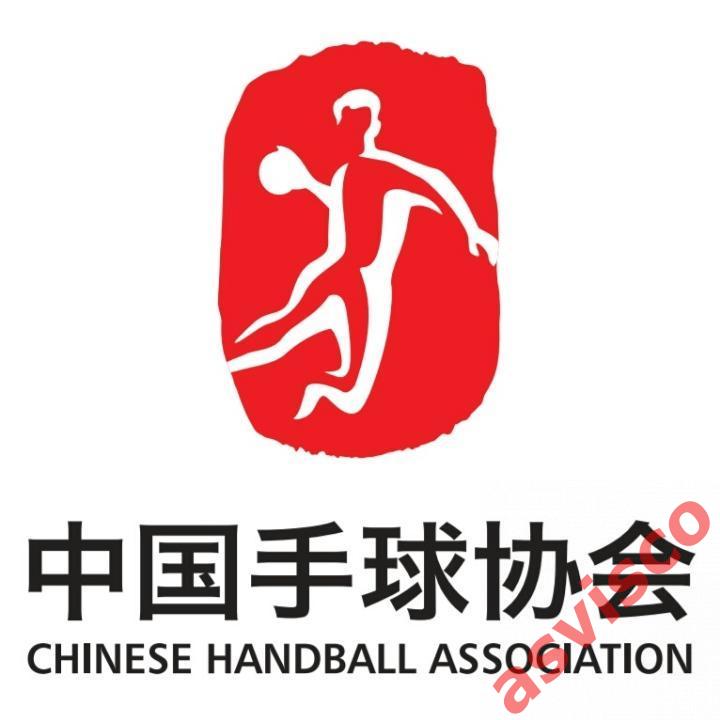 Значок Китайская Ассоциация Гандбола. 7