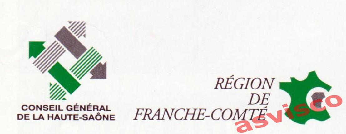 Значок Генеральный Совет Верхней Соны из Франции. 7