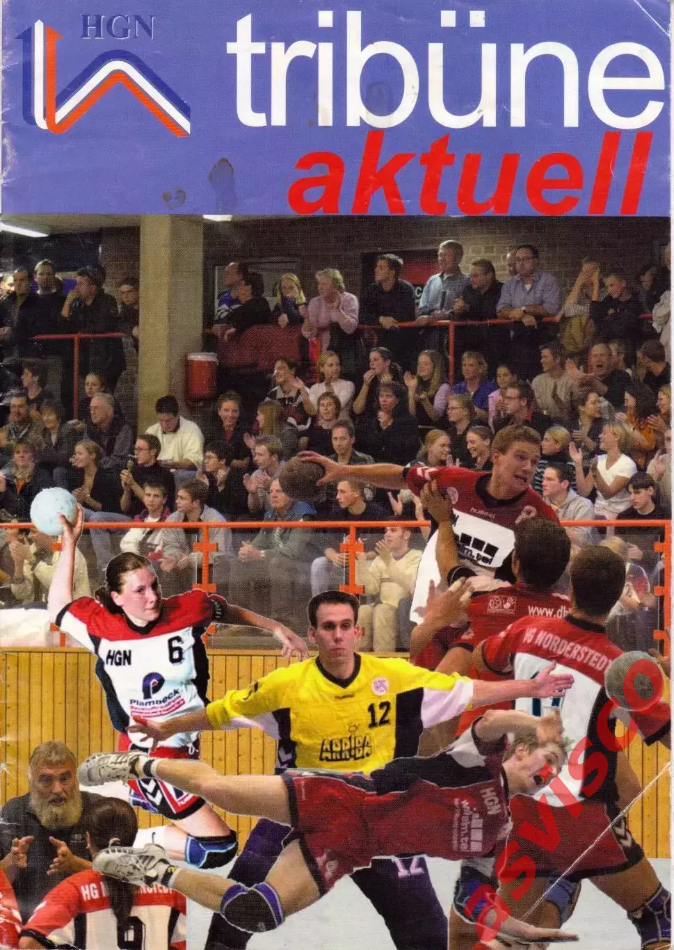Гандбол. HG NORDERSTEDT - REINICKENDORFER FUCHSE. Германия, 2002 год