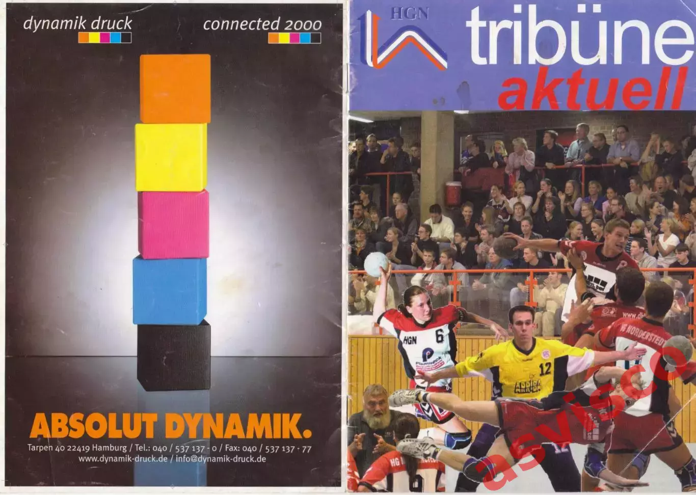 Гандбол. HG NORDERSTEDT - REINICKENDORFER FUCHSE. Германия, 2002 год 6
