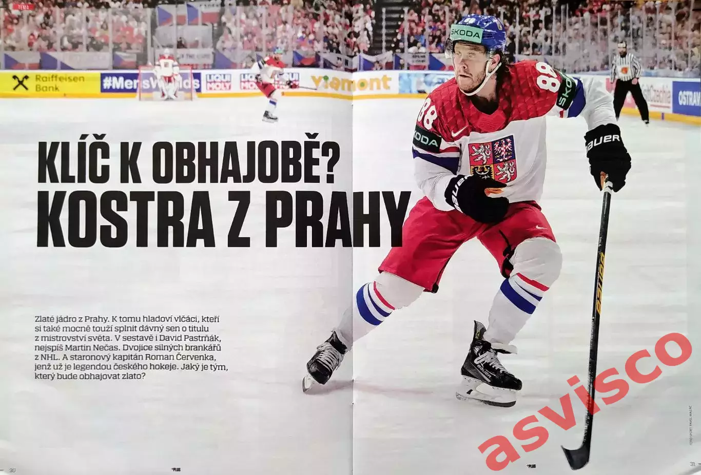 Чемпионат Мира по Хоккею с шайбой. Представление 16 участников. 2025 год. 2