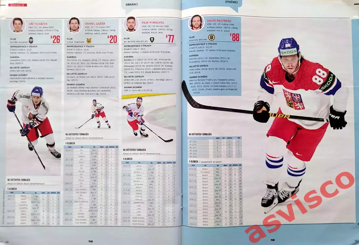 Чемпионат Мира по Хоккею с шайбой. Представление 16 участников. 2025 год. 4