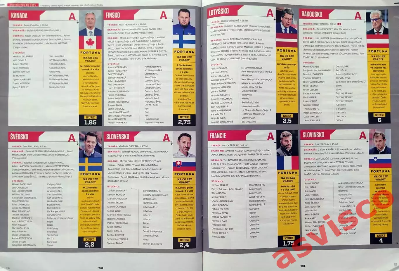 Чемпионат Мира по Хоккею с шайбой. Представление 16 участников. 2025 год. 6