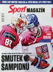 Чемпионат Мира по Хоккею с шайбой. Швеция / Дания. Итоги. 2025 год.