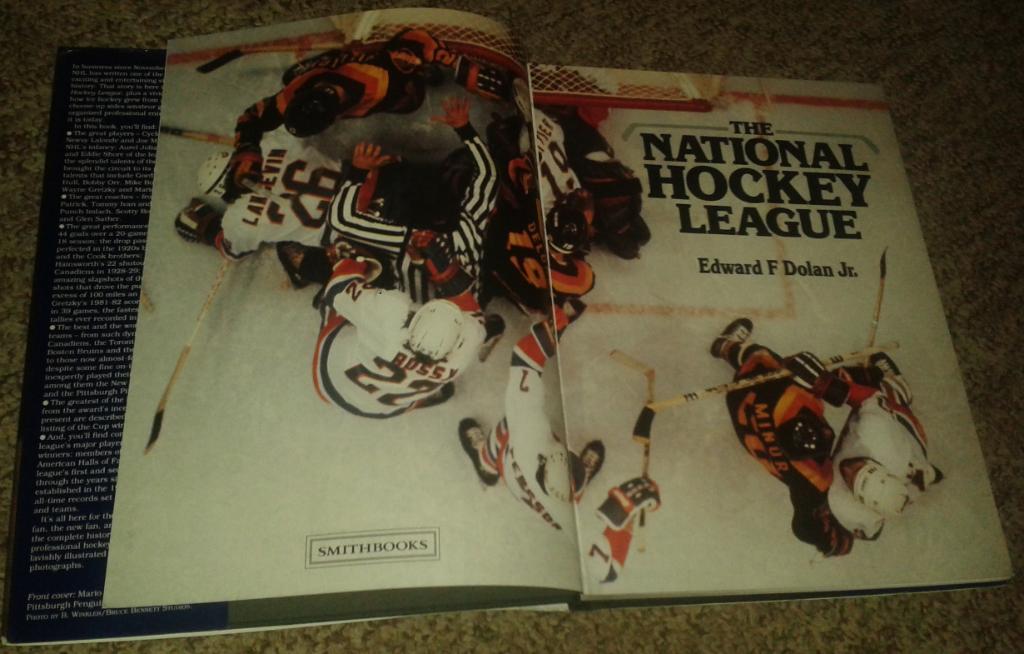 The National Hockey League (NHL, 1993) 2
