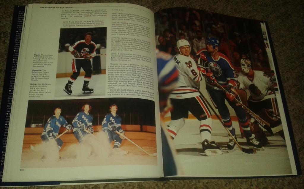 The National Hockey League (NHL, 1993) 3