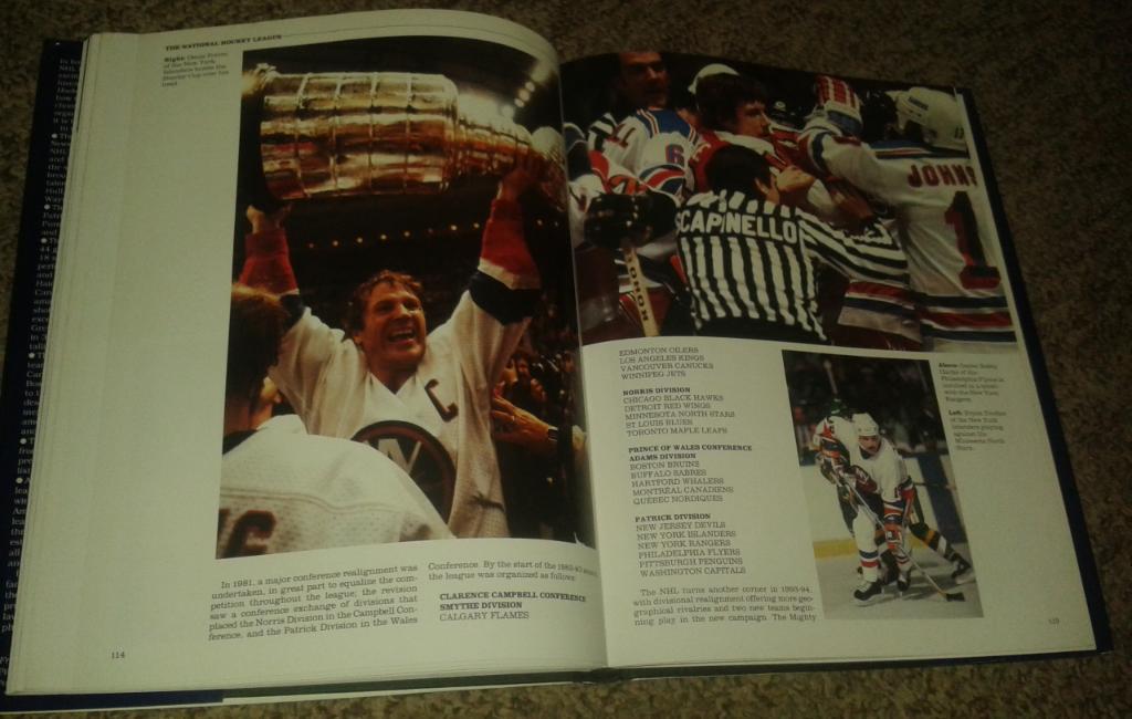 The National Hockey League (NHL, 1993) 4