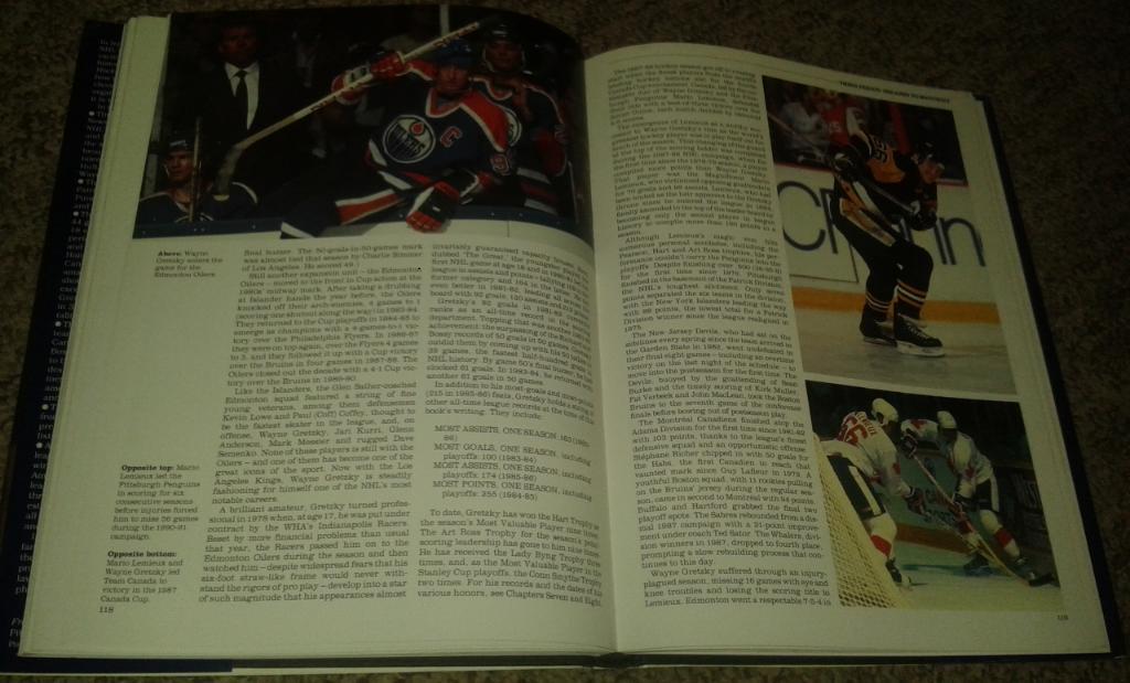 The National Hockey League (NHL, 1993) 6