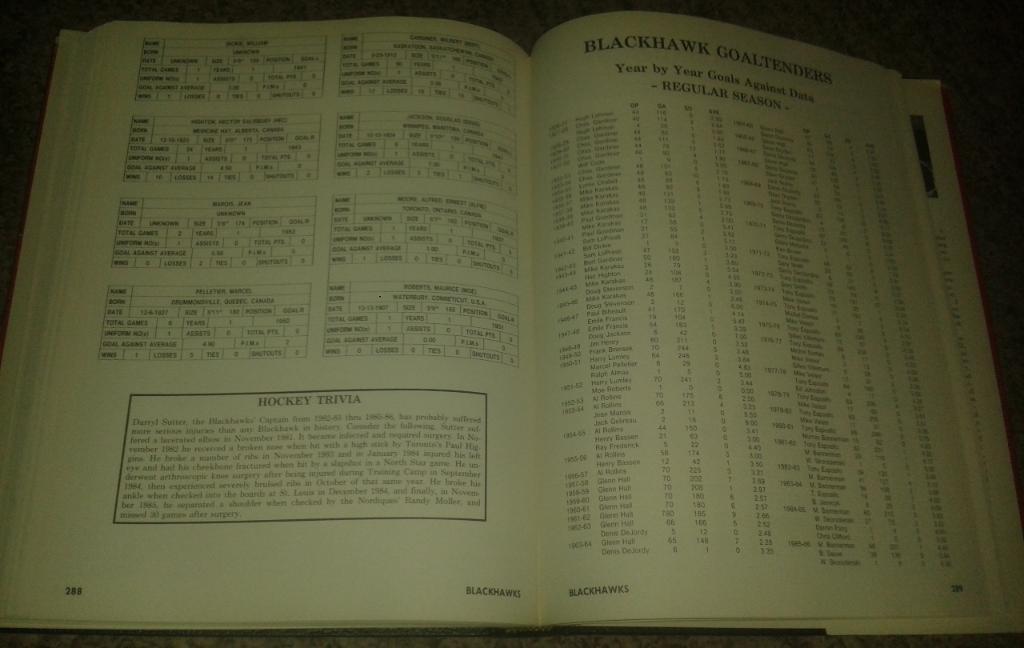 Chicago Blackhawks. A Sixty Year History 1926-1986 (1986, NHL) 7