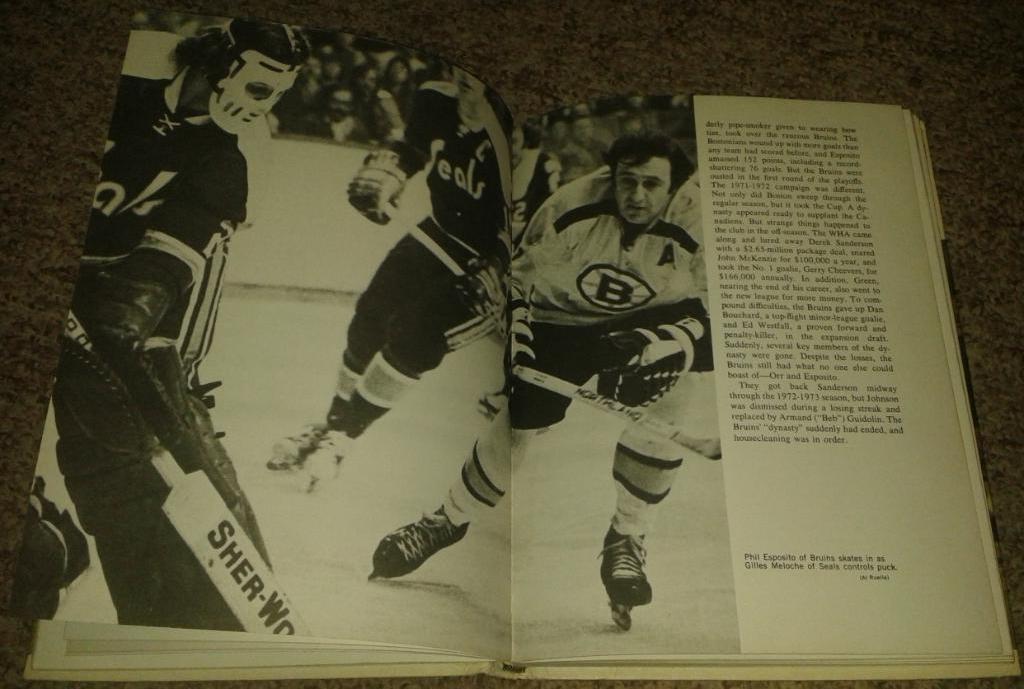 Hockey (1973, NHL, WHA) 3