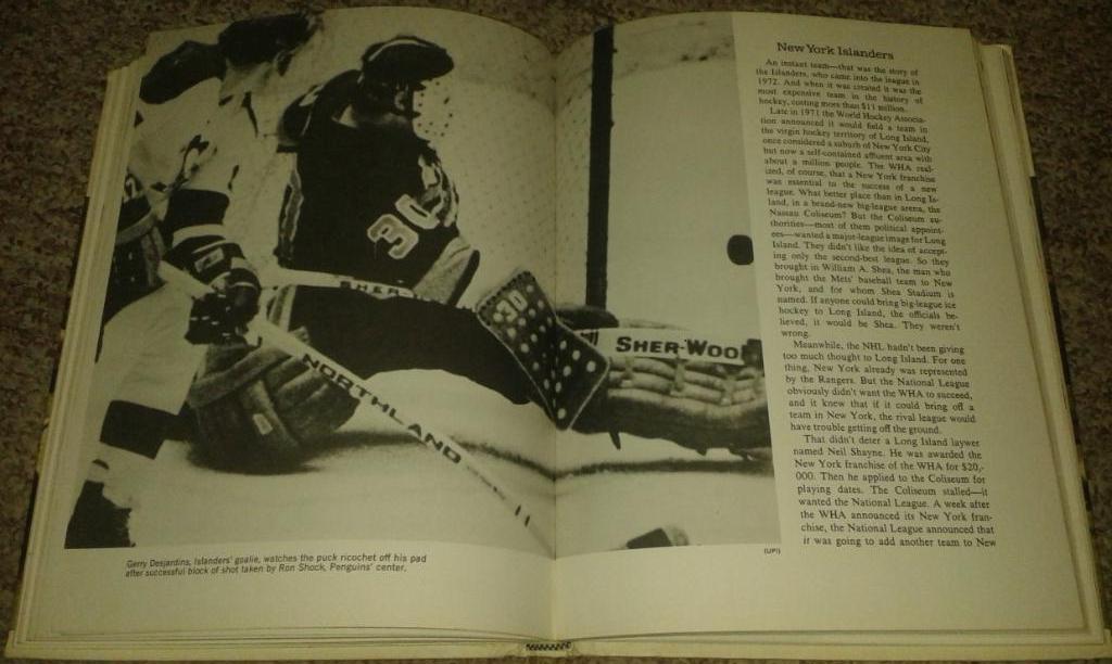 Hockey (1973, NHL, WHA) 4