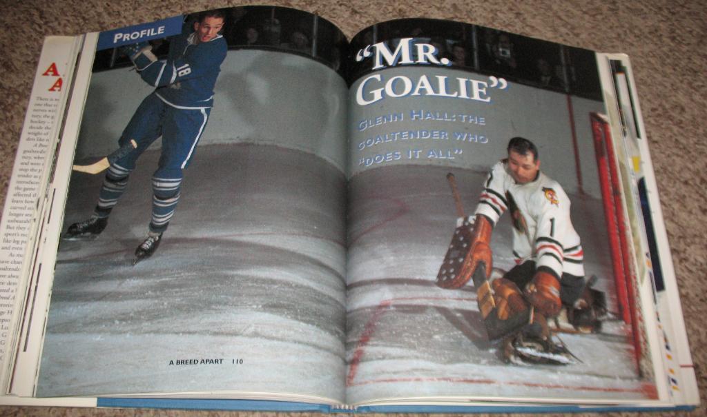 A Breed Apart. An Illustrated History of Goaltending (NHL) 2