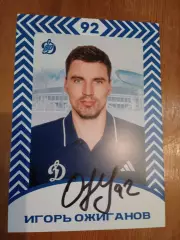 Игорь Ожиганов Динамо Москва