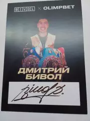 Дмитрий Бивол (бокс)