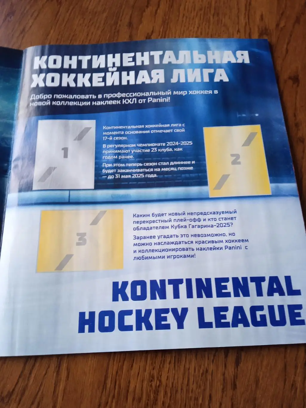 PANINI альбом для наклеек 2