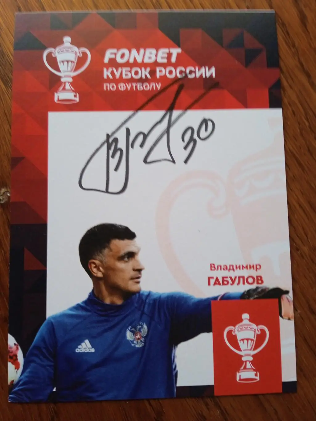 Владимир Габулов (Россия)