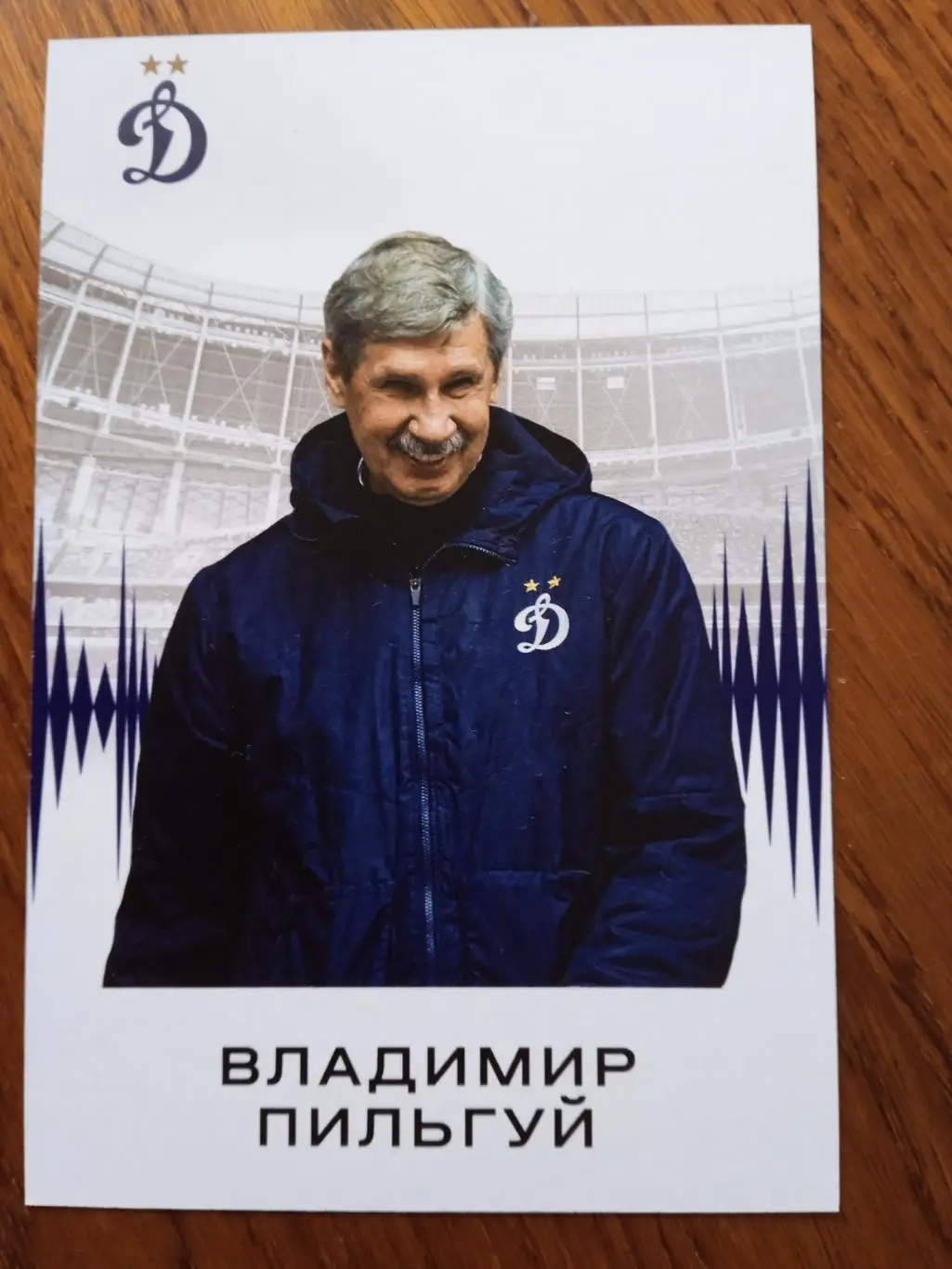 Владимир Пильгуй (Динамо Москва)