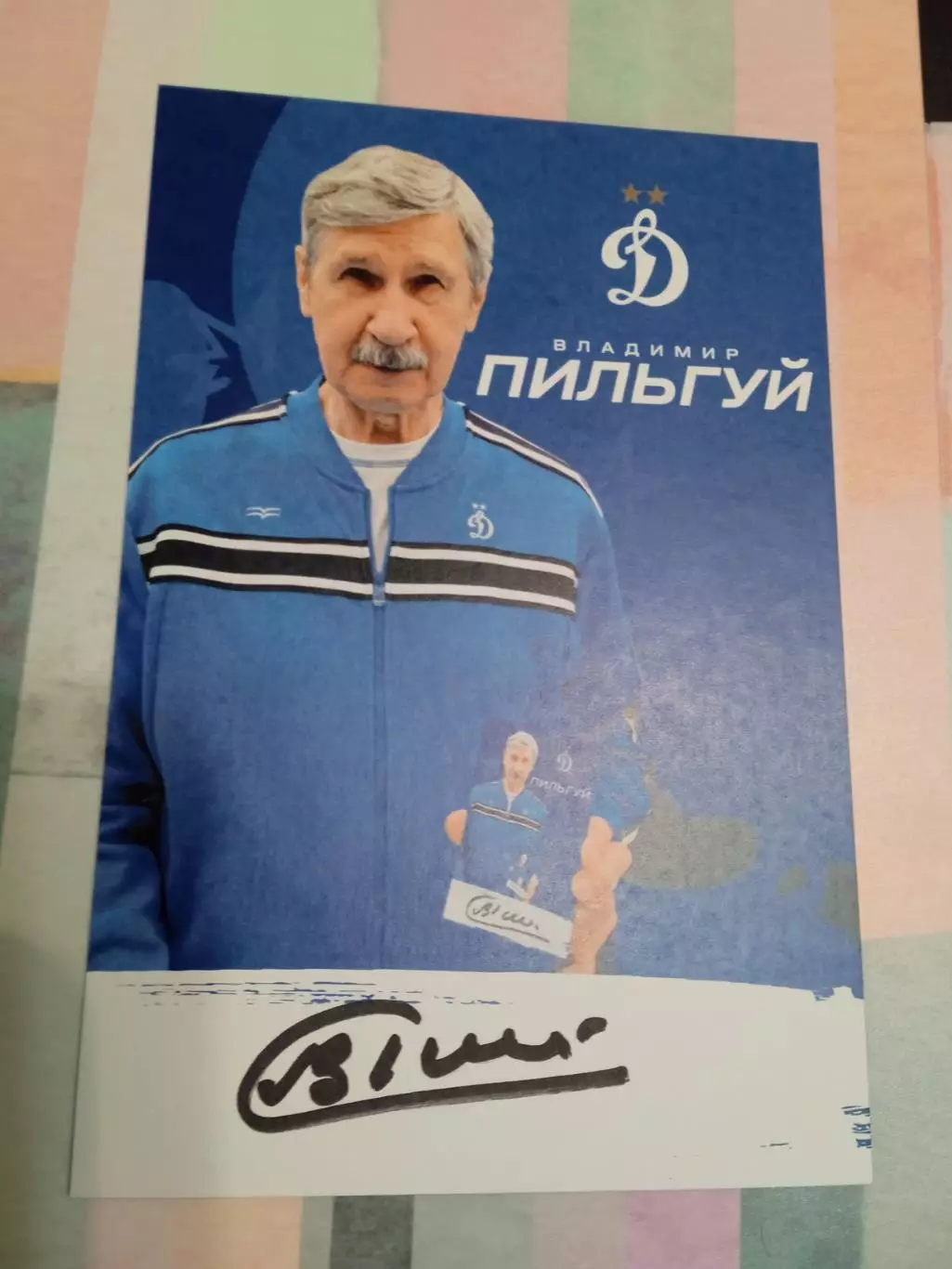 Владимир Пильгуй (Динамо Москва)