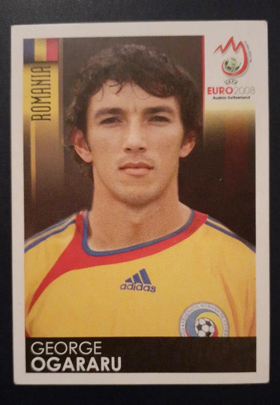 Наклейки Panini. ЧемпионатЕвропы 2008. #313