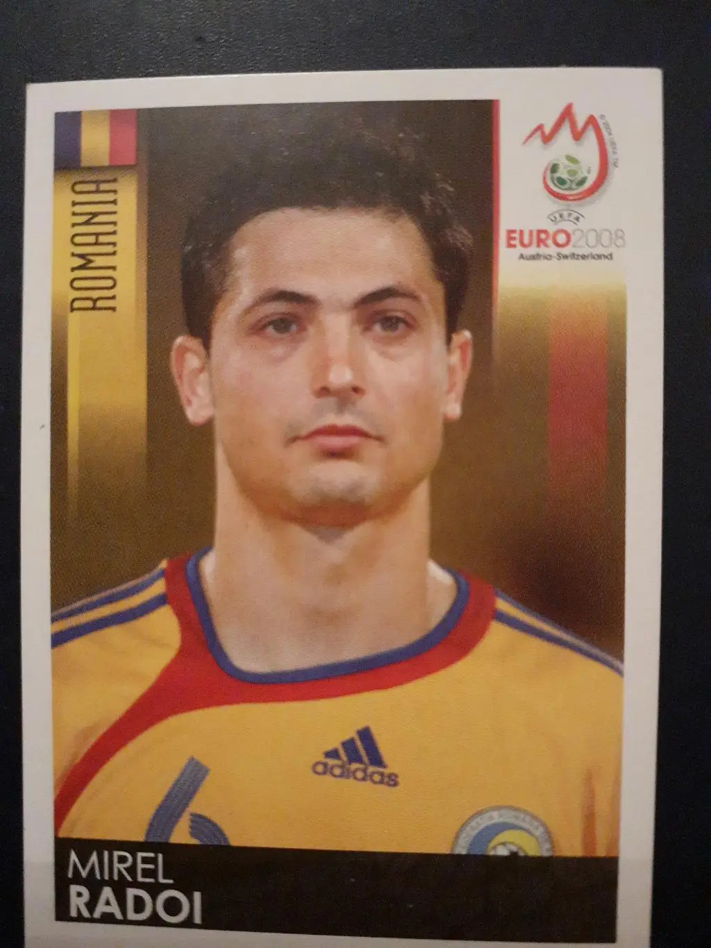 Наклейки Panini. ЧемпионатЕвропы 2008. #317