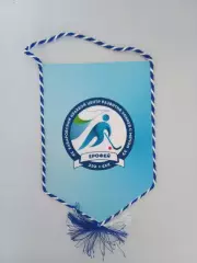 Вымпел Хабаровский краевой центр развития хоккей с мячом Ерофей Хабаровск 2025