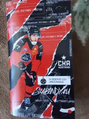 СКА-Нефтяник Хабаровск - Сибсельмаш Новосибирск 14.02.2026 Суперлига 2025/2026